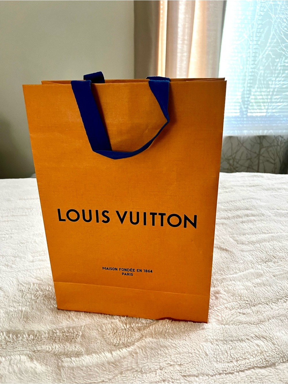 Louis Vuitton shopping/Gift Bag with Blue Handles